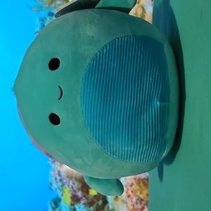 Cascade the sea turtle squishmallow